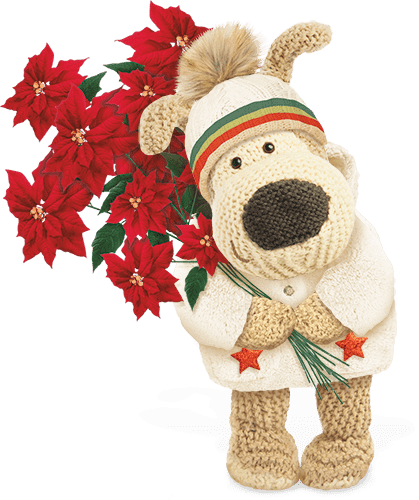 cute character, Boofle, holding flowers