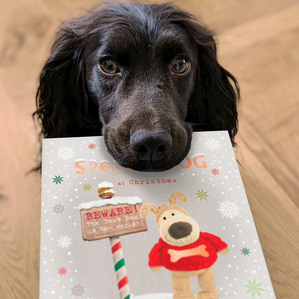 Dog holding Christmas Card. What to write in a Christmas card